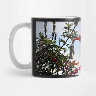 Bolivie - Colibri Mug